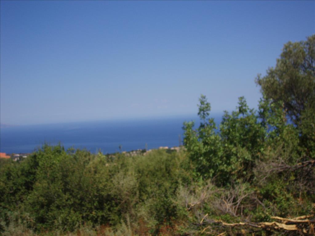 Property in Zakynthos, Greece No. 6415