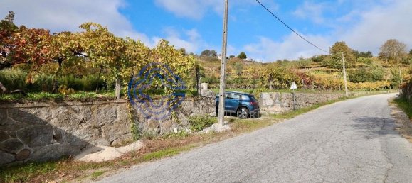 Grundstück in Baiao, Portugal 3800m², Nr. 42506 3