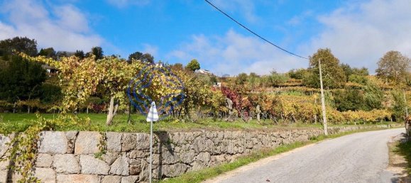 Grundstück in Baiao, Portugal 3800m², Nr. 42506 6