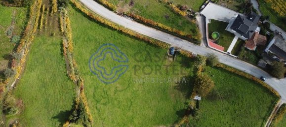 Grundstück in Baiao, Portugal 3800m², Nr. 42506 2