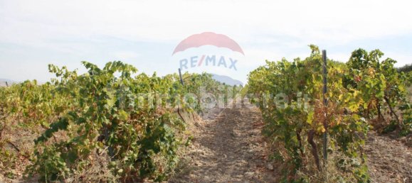 Studio à Buseto Palizzolo, Italy No. 355367 14