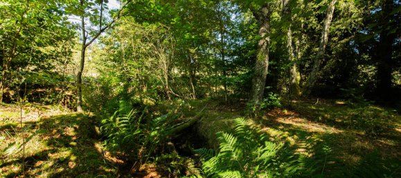 Casa de 11 habitaciónes en Waldshut, Germany No. 333924 6
