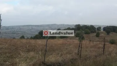 136674m² Land in Colmenar Viejo, Spain No. 239416