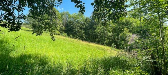  Land in Kirchdorf an der Krems, Austria No. 50611 6