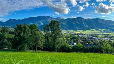  Land in Kirchdorf an der Krems, Austria No. 50611