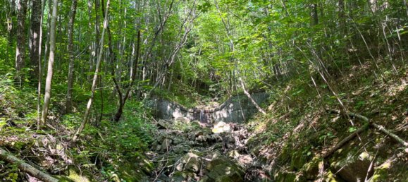  Land in Kirchdorf an der Krems, Austria No. 50611 4