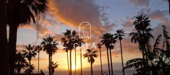 Пентхаус с 1 спальней в Адехе, Испания № 31687 17