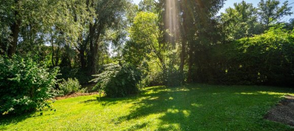 Коммерческая недвижимость 400м² в Ашбах-Маркт, Австрия № 128845 14