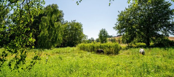 Коммерческая недвижимость 400м² в Ашбах-Маркт, Австрия № 128845 33