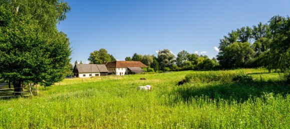 Коммерческая недвижимость 400м² в Ашбах-Маркт, Австрия № 128845 32