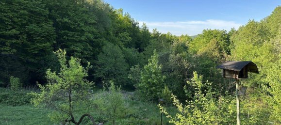 2435m² Land in Penzing, Austria No. 224603 4