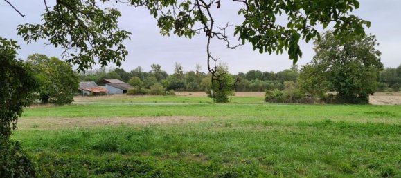 5 bedrooms House in Panzoult, France No. 304109 6