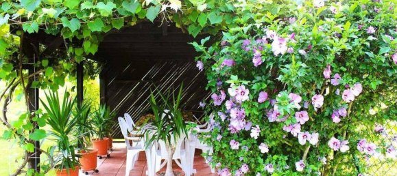 5 rooms House in Pinkafeld, Austria No. 216822 29