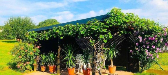 5 rooms House in Pinkafeld, Austria No. 216822 30