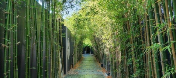 1 Schlafzimmer Eigentumswohnung in Villoft Zen Living Phuket, Thailand, Nr. 31843 10