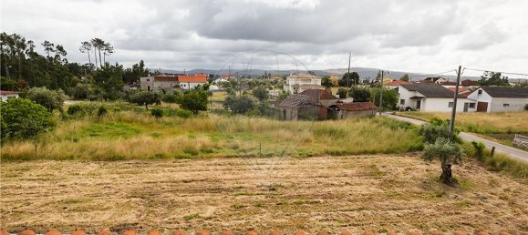 6 غرف نوم منزل في Pombal, Portugal رقم 19692 39