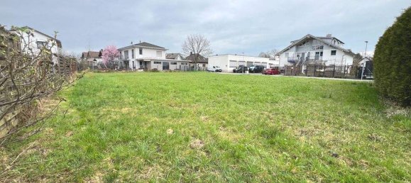 Land in Altach, Austria No. 152236 3