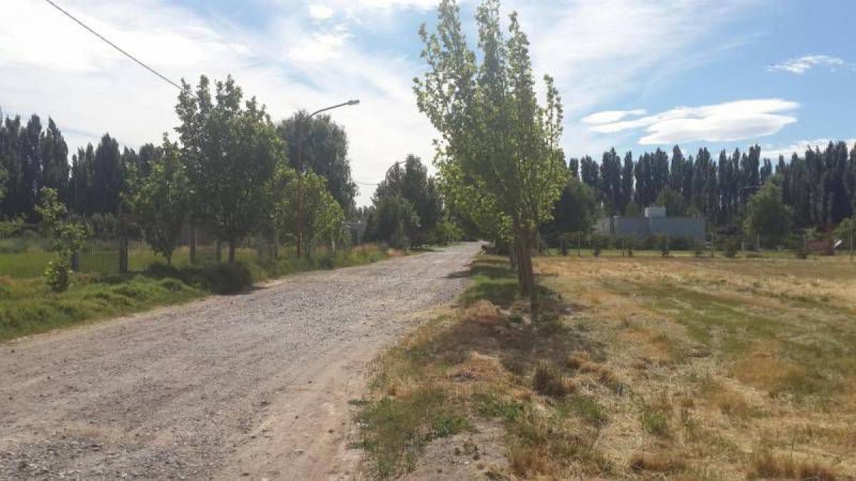 Terrain à Rio Negro, Argentina No. 35096