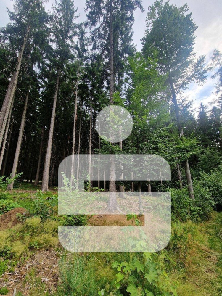 Grundstück in Cham, Germany, Nr. 262757