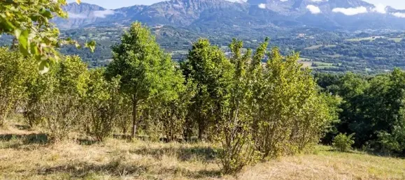 3445m² Land in Hautes-Alpes, France No. 345331 2