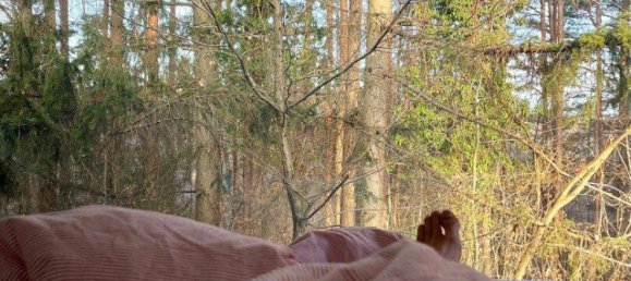 5 rooms House in Minihof-Liebau, Austria No. 143059 14