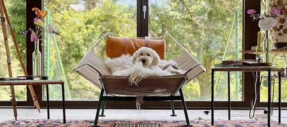 5 rooms House in Minihof-Liebau, Austria No. 143059 4