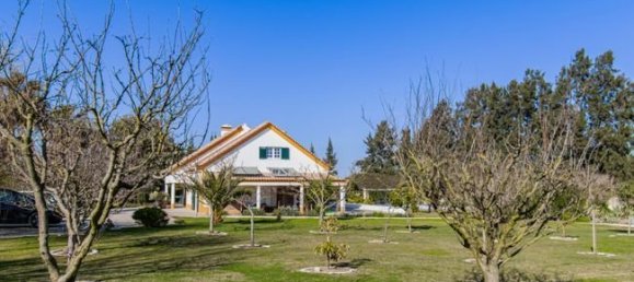 4 bedrooms House in Pinhal Novo, Portugal No. 179801 17