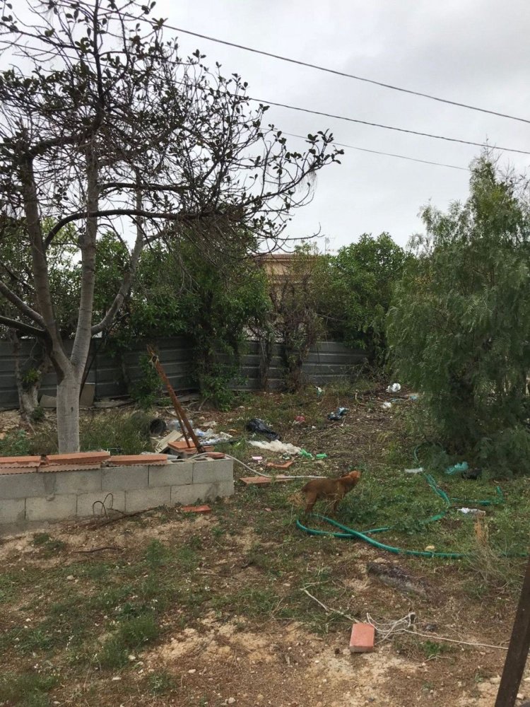 Terreno em San Vicente del Raspeig, Spain 4750 m² N.º 33098