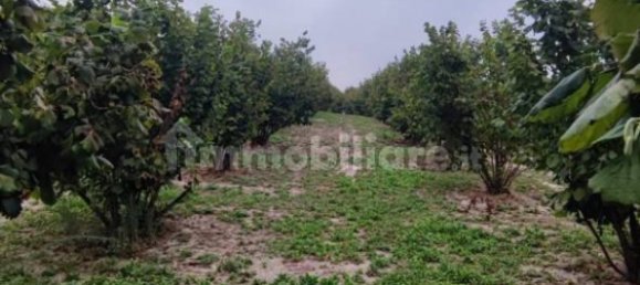 Grundstück in Cherasco, Italy 80000m², Nr. 337344 8