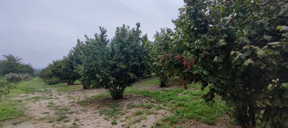 Grundstück in Cherasco, Italy 80000m², Nr. 337344 2