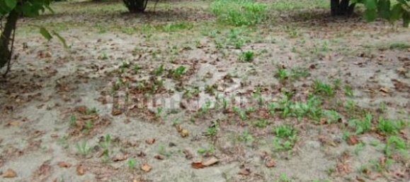 Grundstück in Cherasco, Italy 80000m², Nr. 337344 4