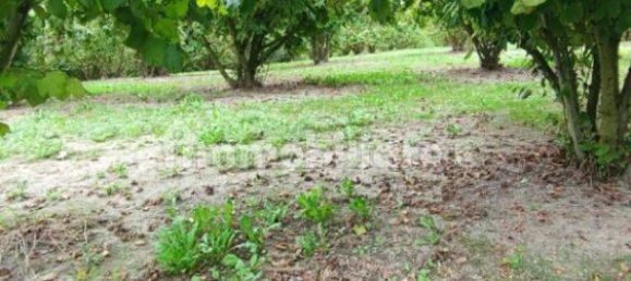 Grundstück in Cherasco, Italy 80000m², Nr. 337344 7