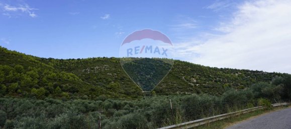 Terreno em Vieste, Italy 630000 m² N.º 267817 2