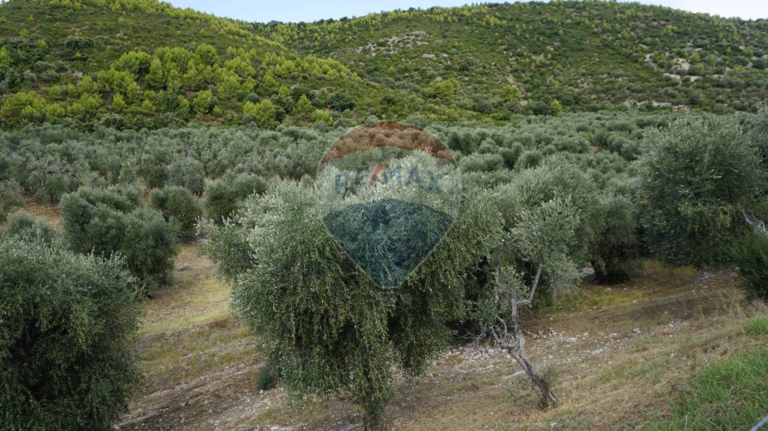 Terreno en Vieste, Italy 630000 m² No. 267817