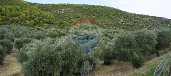Terreno em Vieste, Italy 630000 m² N.º 267817 3