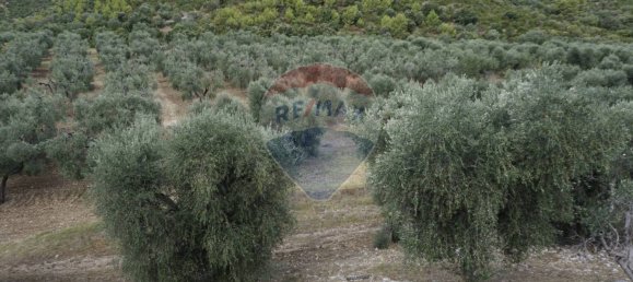 Terreno em Vieste, Italy 630000 m² N.º 267817 4