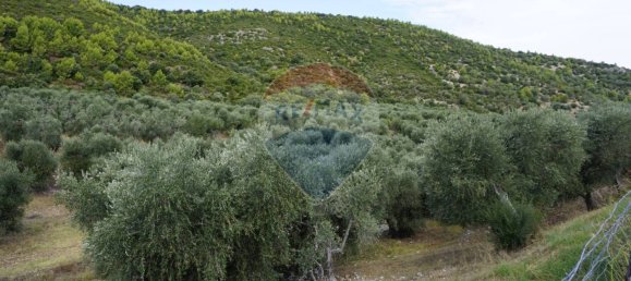 Terreno em Vieste, Italy 630000 m² N.º 267817 5