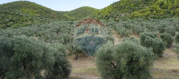 Terreno em Vieste, Italy 630000 m² N.º 267817 7