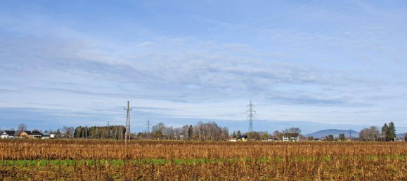 4 rooms House in Grodig, Austria No. 31087 3