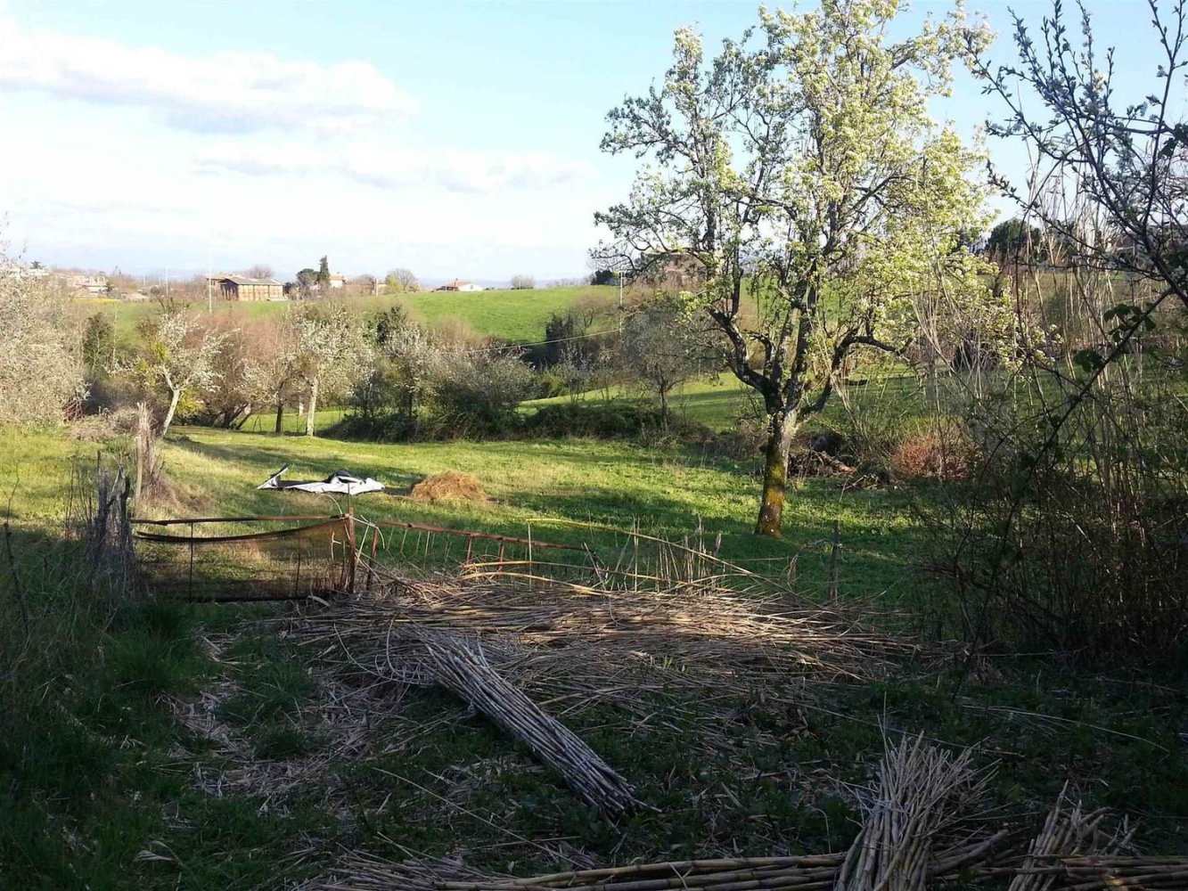 2-salle Maison à Montefiascone, Italy No. 160771