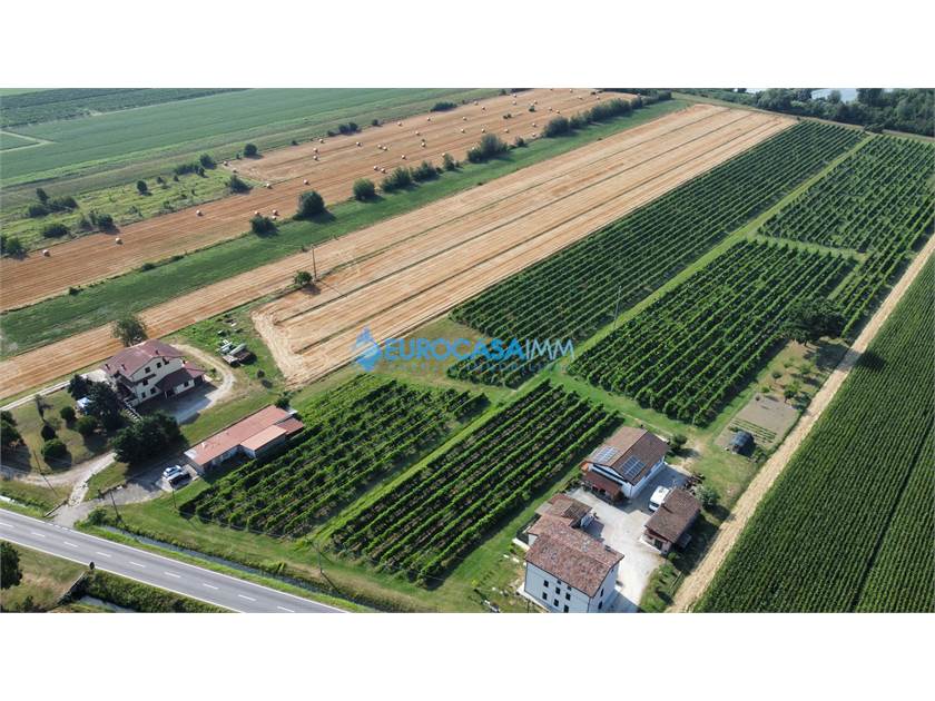 1 room Land in Novi di Modena, Italy No. 60007