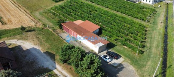 1 room Land in Novi di Modena, Italy No. 60007 4