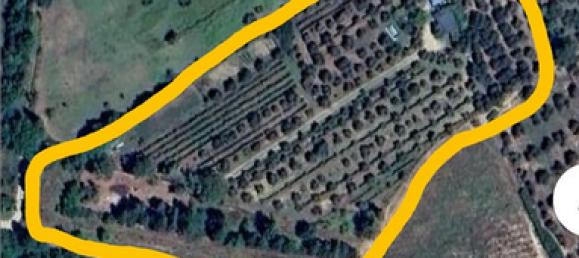 Terrain à Bagno a Ripoli, Italy 13000m² No. 257299 6