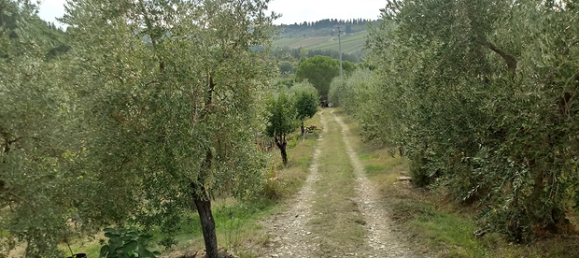 Terrain à Bagno a Ripoli, Italy 13000m² No. 257299 4