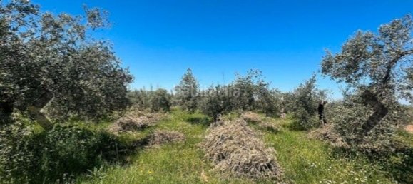3223m² Land in Granada, Spain No. 140059 5