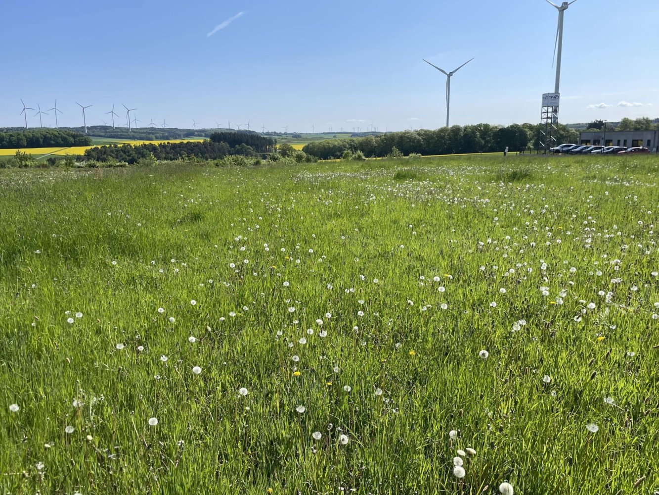Terreno en Rhein-Hunsruck, Germany No. 187724