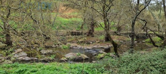 4 غرف نوم منزل في Montemor o Novo, Portugal رقم 15082 48