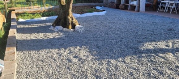 4 غرف نوم منزل في Montemor o Novo, Portugal رقم 15082 3