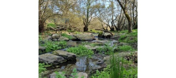 4 غرف نوم منزل في Montemor o Novo, Portugal رقم 15082 45