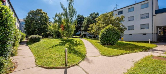 4-salle Appartement à Liesing, Austria No. 258056 11